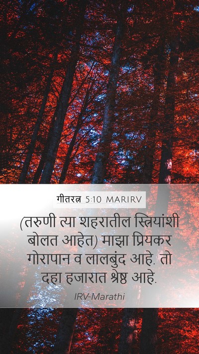 गीतरत्न 5:10 MARIRV Mobile Phone Wallpaper - (तरुणी त्या - Mobile Bible Verse Wallpaper