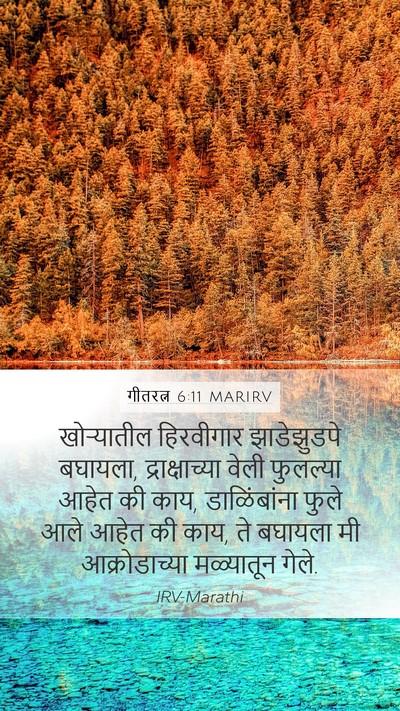 गीतरत्न 6:11 MARIRV Bible Verse Image