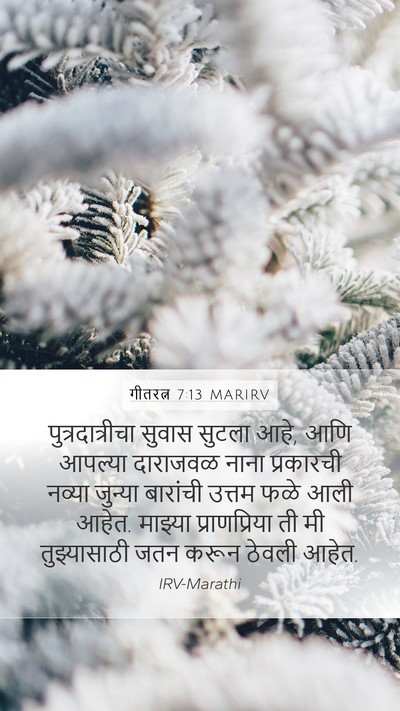 गीतरत्न 7:13 MARIRV Bible Verse Image