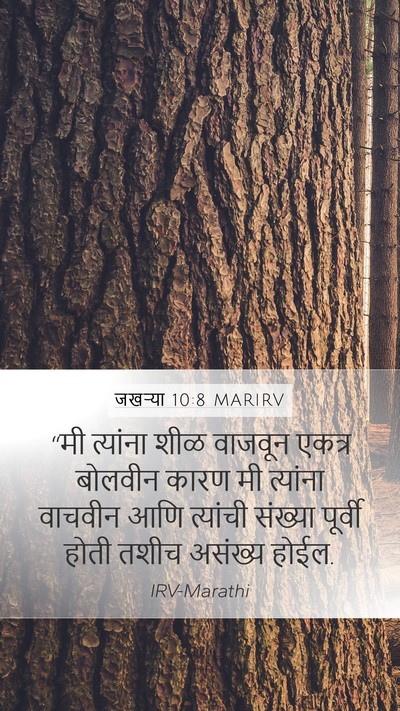 जखऱ्या 10:8 MARIRV Bible Verse Image