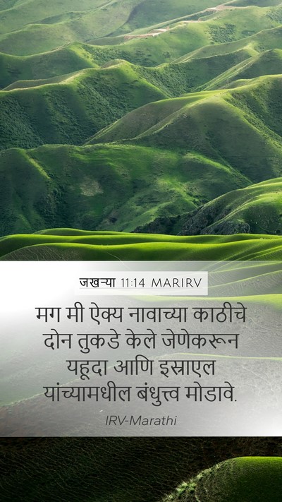जखऱ्या 11:14 MARIRV Bible Verse Image