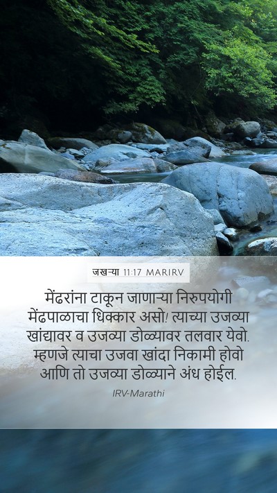 जखऱ्या 11:17 MARIRV Bible Verse Image