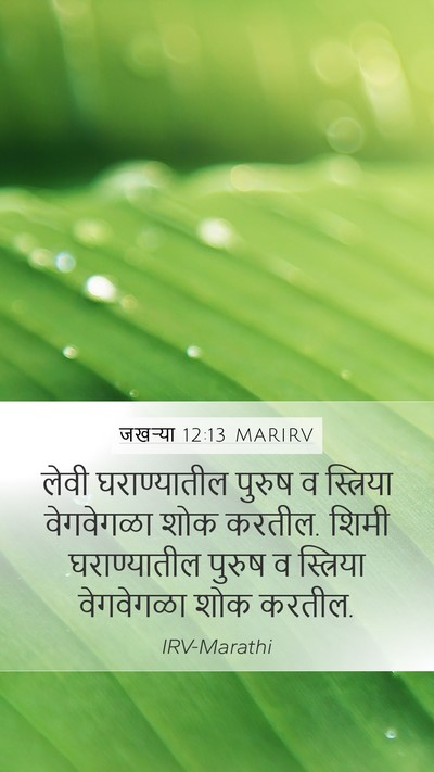 जखऱ्या 12:13 MARIRV Bible Verse Image
