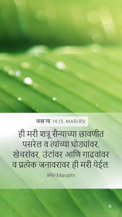 जखऱ्या 14:15 MARIRV Bible Verse Image