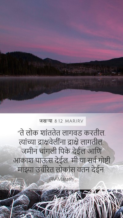 जखऱ्या 8:12 MARIRV Bible Verse Image