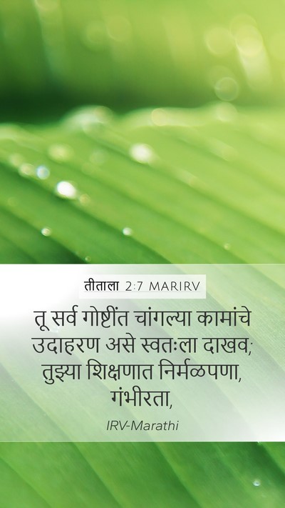 तीताला 2:7 MARIRV Bible Verse Image