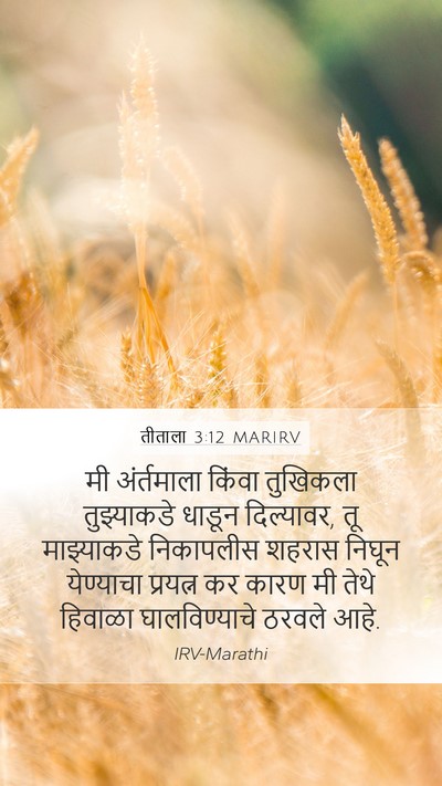 तीताला 3:12 MARIRV Bible Verse Image
