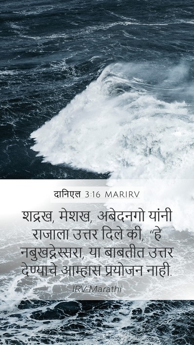 दानिएल 3:16 MARIRV Bible Verse Image