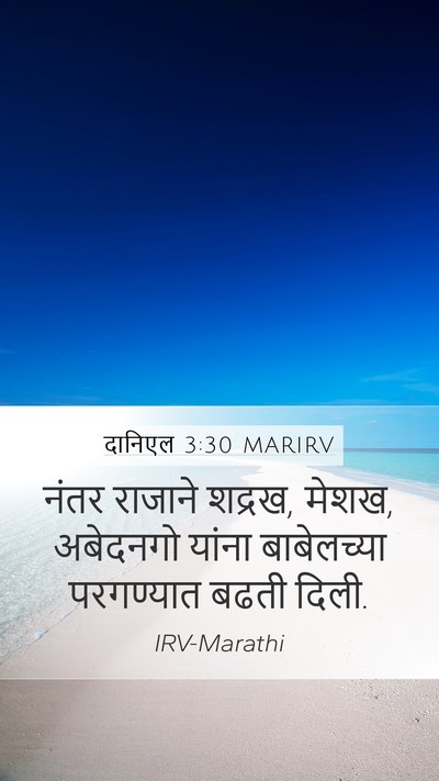 दानिएल 3:30 MARIRV Mobile Phone Wallpaper - नंतर राजाने शद्रख, - Mobile Bible Verse Wallpaper