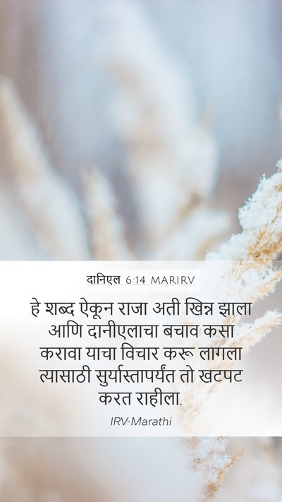 दानिएल 6:14 MARIRV Bible Verse Image