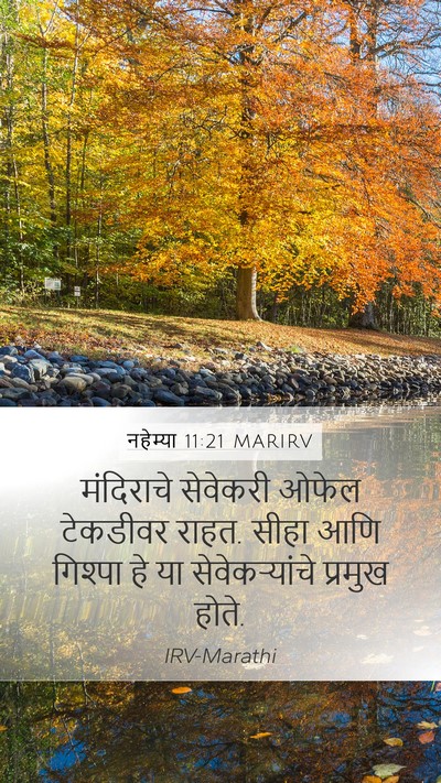 नहेम्या 11:21 MARIRV Bible Verse Image
