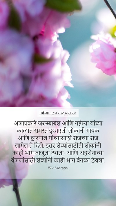 नहेम्या 12:47 MARIRV Bible Verse Image