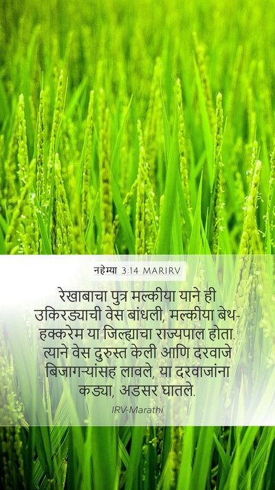 नहेम्या 3:14 MARIRV Bible Verse Image