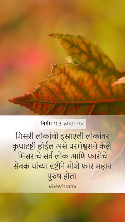निर्गम 11:3 MARIRV Bible Verse Image