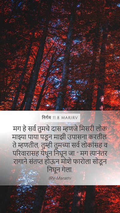 निर्गम 11:8 MARIRV Bible Verse Image