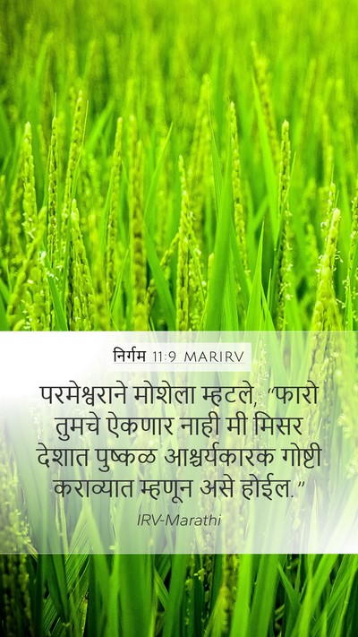 निर्गम 11:9 MARIRV Bible Verse Image