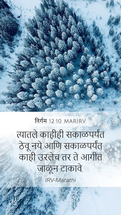 निर्गम 12:10 MARIRV Bible Verse Image