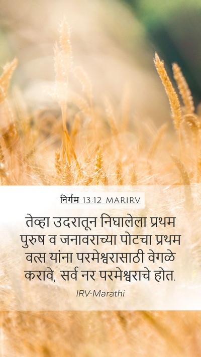 निर्गम 13:12 MARIRV Bible Verse Image