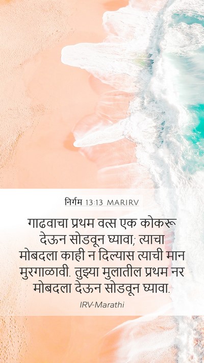 निर्गम 13:13 MARIRV Bible Verse Image