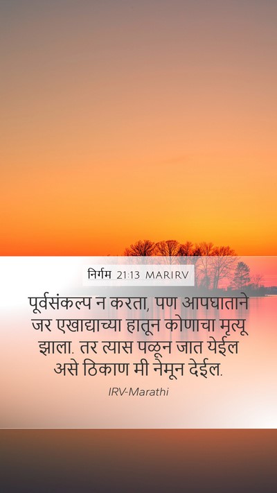 निर्गम 21:13 MARIRV Bible Verse Image