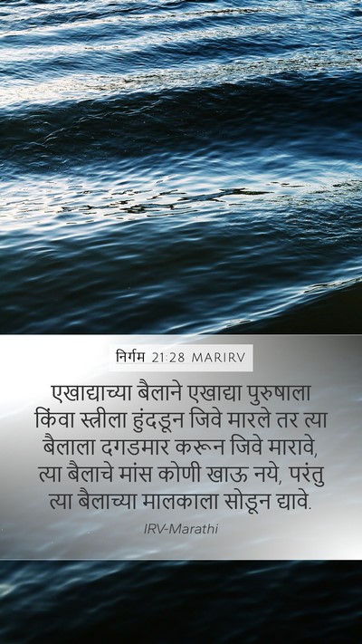 निर्गम 21:28 MARIRV Bible Verse Image