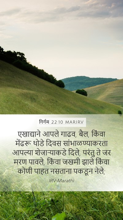 निर्गम 22:10 MARIRV Bible Verse Image