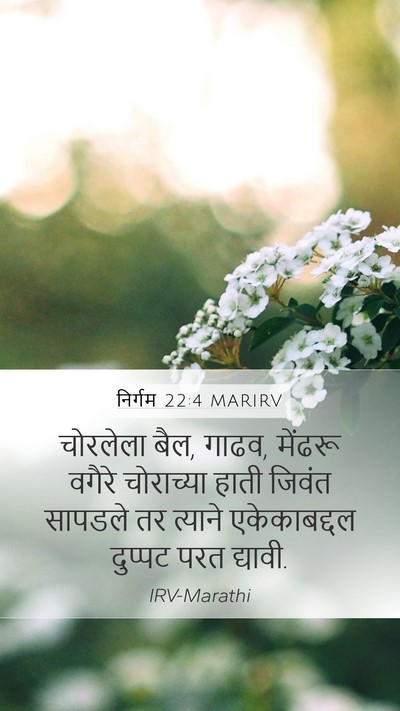 निर्गम 22:4 MARIRV Bible Verse Image