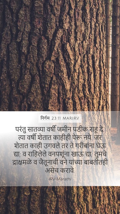 निर्गम 23:11 MARIRV Bible Verse Image