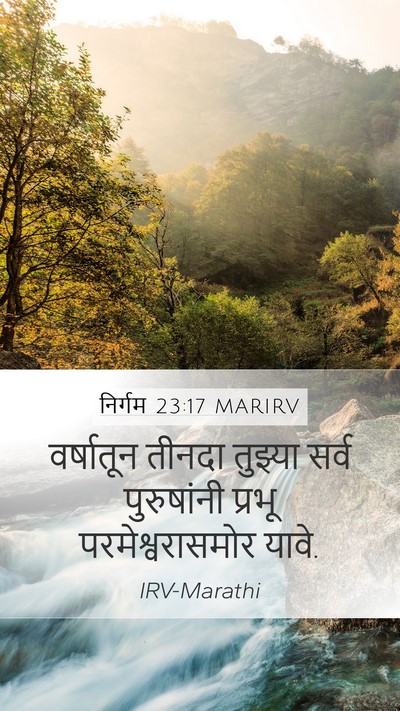निर्गम 23:17 MARIRV Bible Verse Image