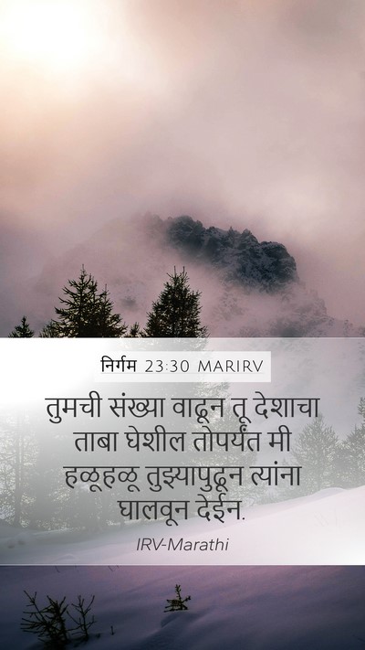 निर्गम 23:30 MARIRV Bible Verse Image