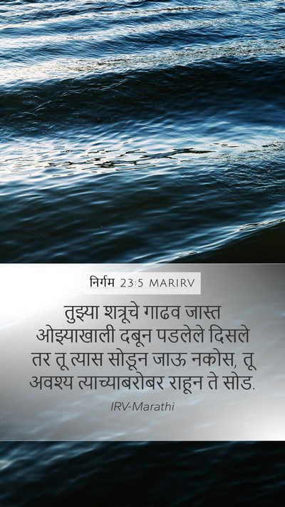 निर्गम 23:5 MARIRV Bible Verse Image