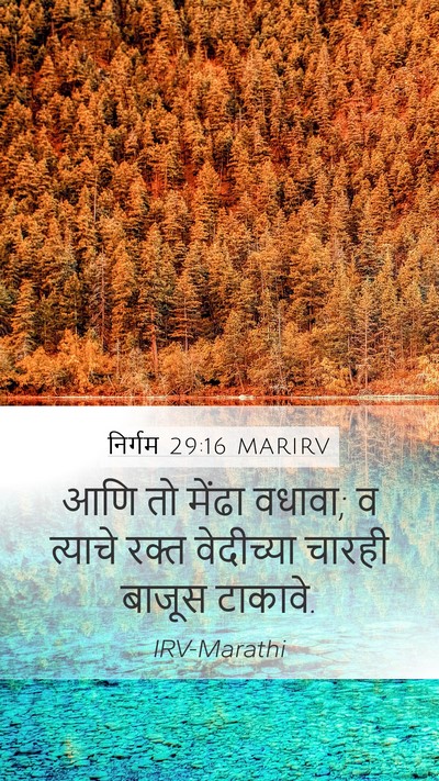 निर्गम 29:16 MARIRV Bible Verse Image