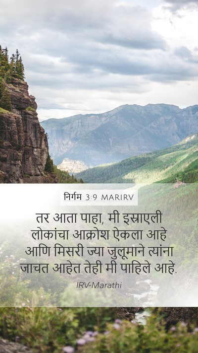 निर्गम 3:9 MARIRV Bible Verse Image