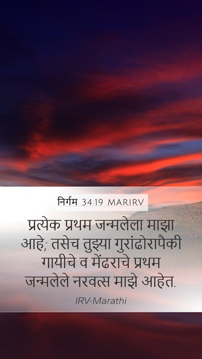 निर्गम 34:19 MARIRV Bible Verse Image