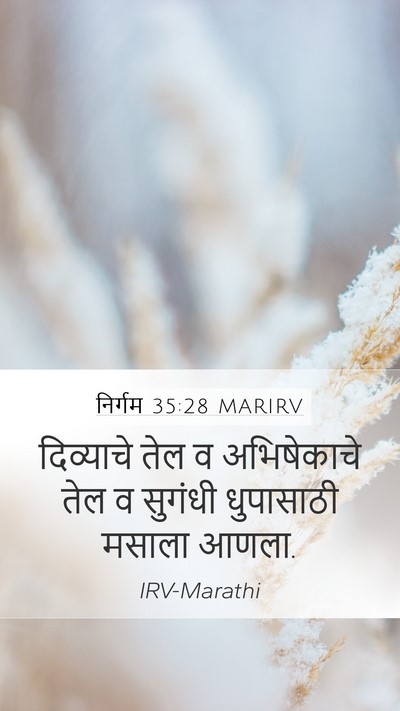 निर्गम 35:28 MARIRV Mobile Phone Wallpaper - दिव्याचे तेल व - Mobile Bible Verse Wallpaper