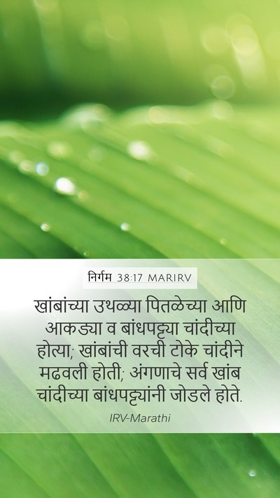निर्गम 38:17 MARIRV Bible Verse Image