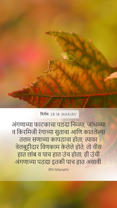 निर्गम 38:18 MARIRV Mobile Phone Wallpaper - अंगणाच्या फाटकाचा - Mobile Bible Verse Wallpaper