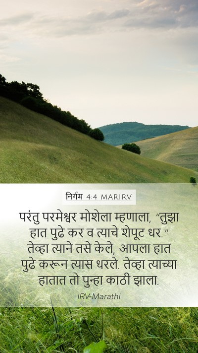 निर्गम 4:4 MARIRV Bible Verse Image