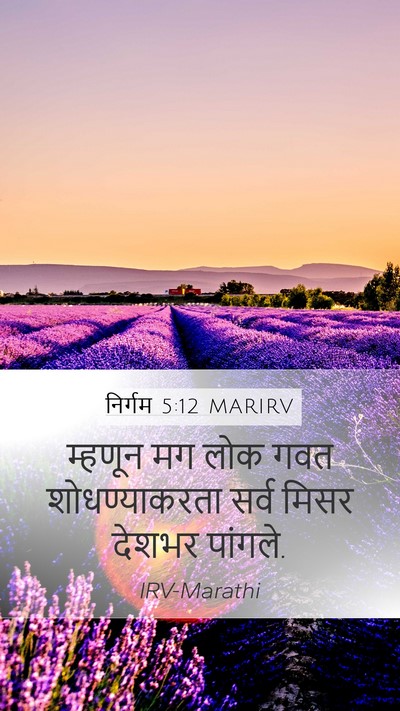 निर्गम 5:12 MARIRV Mobile Phone Wallpaper - म्हणून मग लोक गवत - Mobile Bible Verse Wallpaper