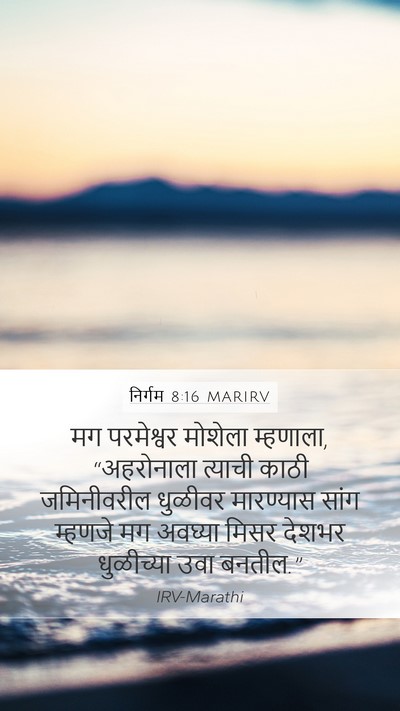 निर्गम 8:16 MARIRV Bible Verse Image
