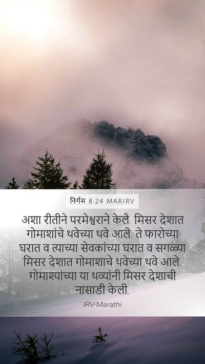 निर्गम 8:24 MARIRV Bible Verse Image
