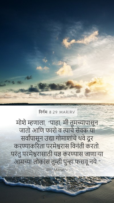 निर्गम 8:29 MARIRV Bible Verse Image