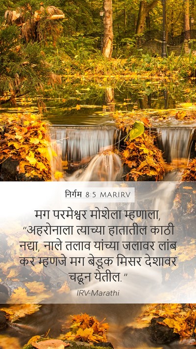 निर्गम 8:5 MARIRV Bible Verse Image