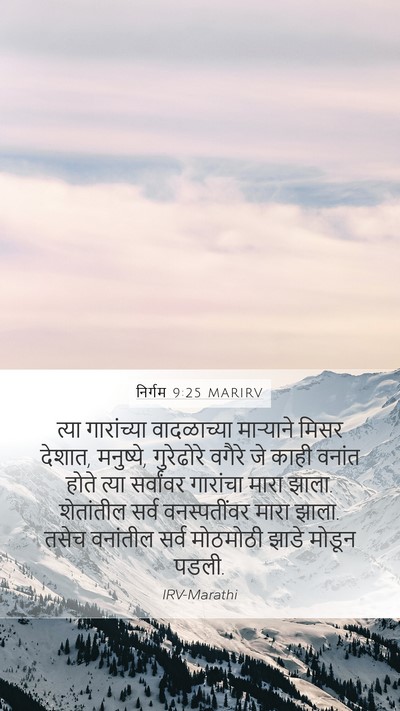 निर्गम 9:25 MARIRV Bible Verse Image