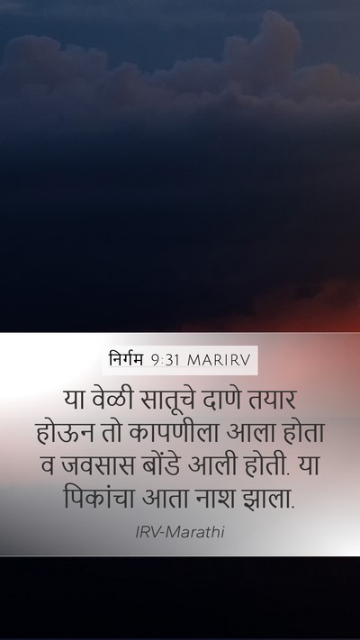 निर्गम 9:31 MARIRV Bible Verse Image