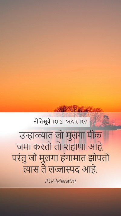 नीतिसूत्रे 10:5 MARIRV Bible Verse Image