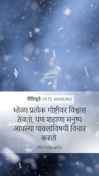 नीतिसूत्रे 14:15 MARIRV Bible Verse Image