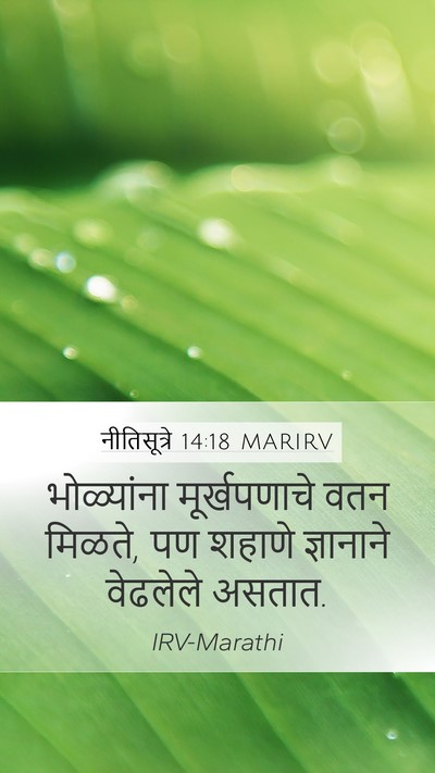 नीतिसूत्रे 14:18 MARIRV Bible Verse Image