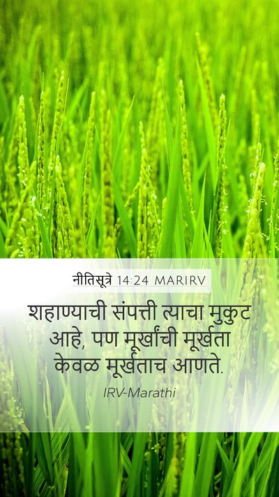 नीतिसूत्रे 14:24 MARIRV Mobile Phone Wallpaper - शहाण्याची संपत्ती - Mobile Bible Verse Wallpaper