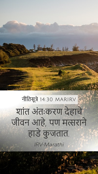 नीतिसूत्रे 14:30 MARIRV Bible Verse Image